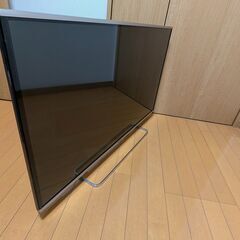 【動作不良品（液晶）】VIERA TH-42AS650 [42インチ]