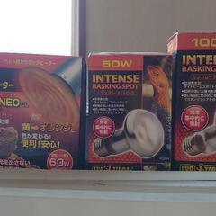 爬虫類ゲージの画像