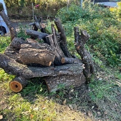 薪の画像