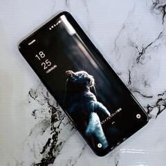【美品】OPPO Reno5 A  A101OP ワイモバイル シルバーブラックの画像