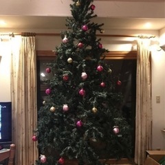 クリスマスツリーの画像