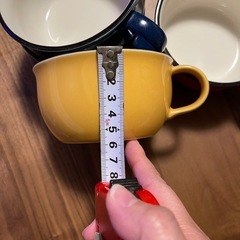 お譲り先決まりましたの画像