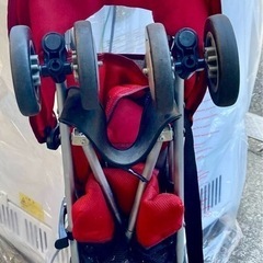 お譲り先決まりました！バギーの画像