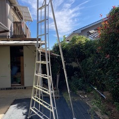 植木剪定用　脚立　値下げしました！