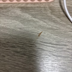 パソコンデスク キングサイズ 壁面収納一体型 大容量本棚付
の画像