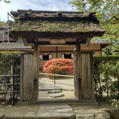 1/27(月)ボランティアガイドさんと京都修学院駅～祇園四条駅散策 - 京都市