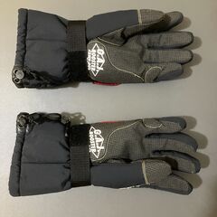 電熱グローブ（バイク用手袋）
