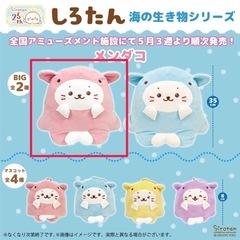 しろたんBIGぬいぐるみ