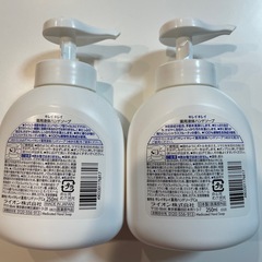 LION 　薬用　キレイ キレイ　本体2本セットの画像