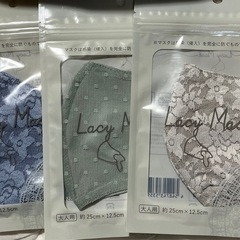 ①新品 コラーゲンヘアマスク 500ml ★大容量ポーチ★肌のお手入れ ２セット★レースマスク３枚の画像