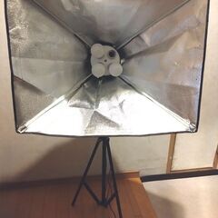 撮影用ライト＆マネキンハンガー（トルソー）差し上げます。フリマな...