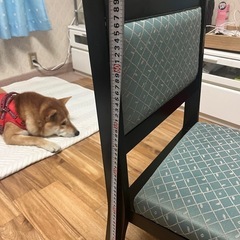 和室用椅子の画像