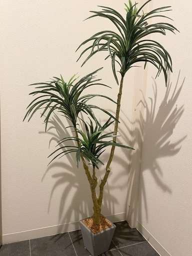 【決まりました】美品★ ドラセナ ユッカ 観葉植物 フェイクグリーン