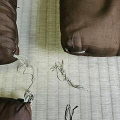 初期昭和レトロ/1950年代物】座布団 鳳凰紋様 鳳凰柄 焦げ茶色 茶色 4枚セット 4客セット たくさん 御座敷座布団の画像