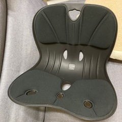背筋　ピン❗️  カーブルチェア