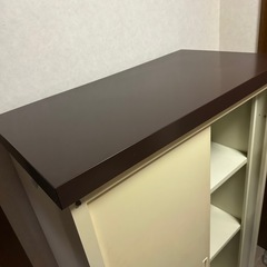 ステンレス物置　物置　倉庫　アリンコ　アルインコ　ALINCO 別府　大分の画像