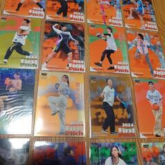 プロ野球始球式　ファーストピッチ　トレーディングカード17枚セットの画像