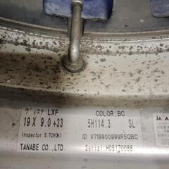 ヴィエナLX- F 19インチの画像