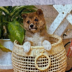 柴犬 ジグソーパズル かわいいデザイン 25×35センチの画像