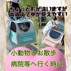 未使用✨小型犬、猫、兎の小動物キャリーバッグ