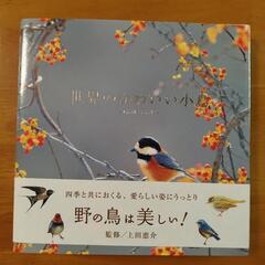 世界のかわいい小鳥 [ 写真集 ]