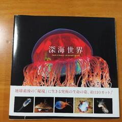 深海世界 [写真集 ]