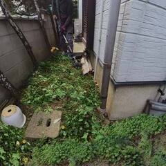 【草毟り】志免町へ庭のお手入れ行ってきました。