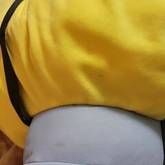 ミニオン　大きな　ぬいぐるみの画像