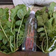 [無農薬]　大根の葉っぱ
