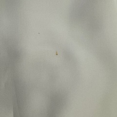 【新品未使用】コーチ ダンシング キトゥン CD277 IMCAH バッグパックの画像