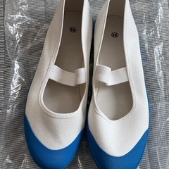 【新品未使用】上履き25.0cmの画像