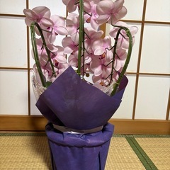 美品 造花胡蝶蘭 紫系 御祝の画像
