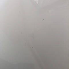 折りたたみローテーブルの画像