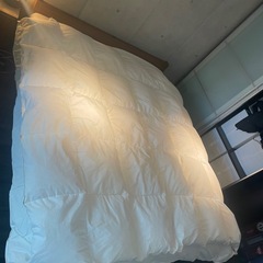 「IKEA FJÄLLARNIKA オールシーズン掛け布団（2枚...