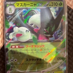 2枚でポケカ300円