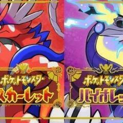 ポケモンSV友達募集します！