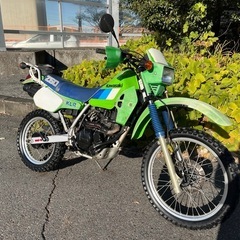 KLR250 ツインカムエンジン　DOHC　カワサキグリーン　愛...