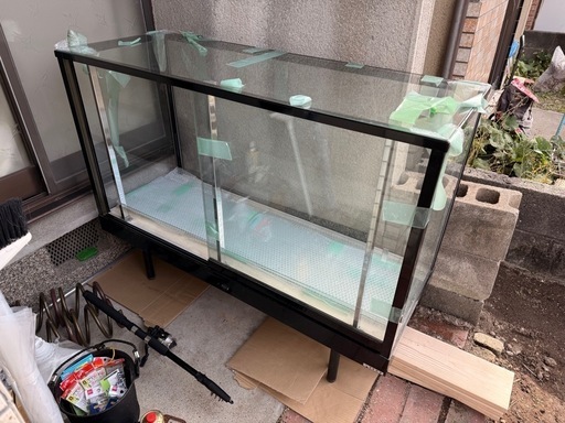 ショーケース