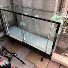 ショーケース