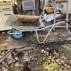 一輪車　ネコの画像