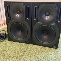 BEHRINGER ( ベリンガー )  B2031A TRUT...