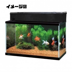 【ヒビあり】60cm水槽 濾過器（ろかき） ガラス蓋付き セット 