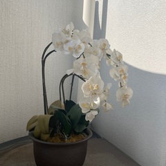 花　インテリア　フェイク花の画像