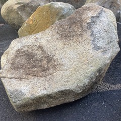 庭石6つの画像