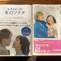 冬のソナタPlus DVD 冬のソナタ本2冊の画像