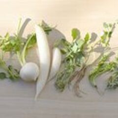 ★朝倉郡★短期★七草の収穫のお手伝い★日払い