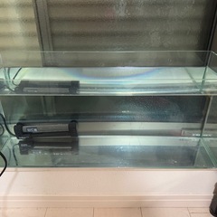 熱帯魚60センチスリム水槽（GEX） 