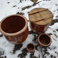 漬物　甁の画像