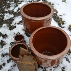 漬物　甁の画像