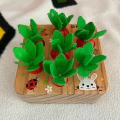 決まりました^_^にんじん畑　西松屋